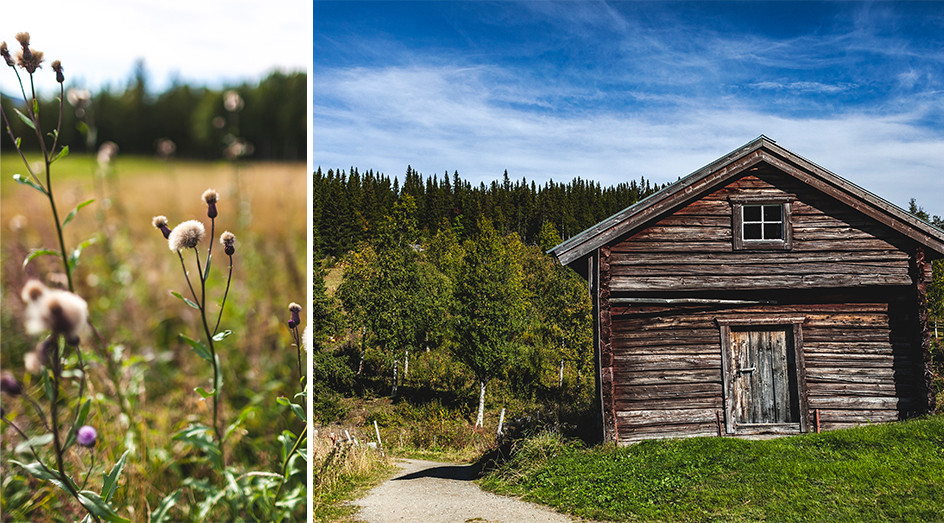 Vandringsväg förbi torp